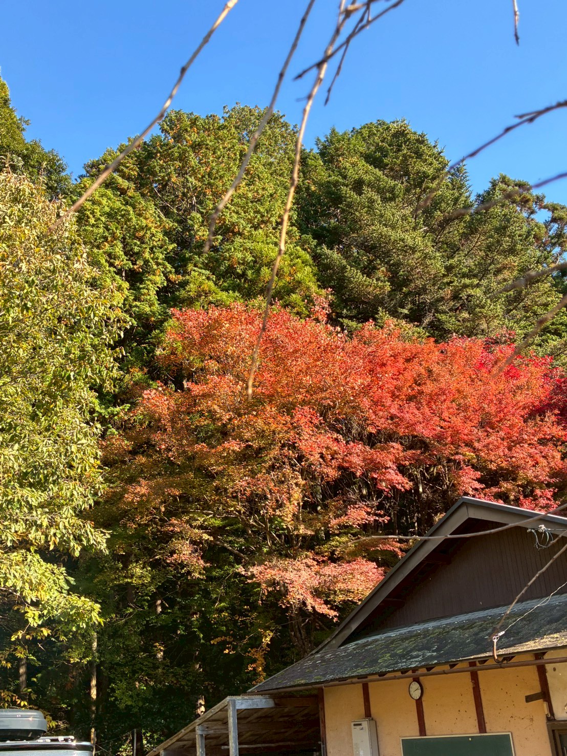 樫田で自然体験 11月16日（日）